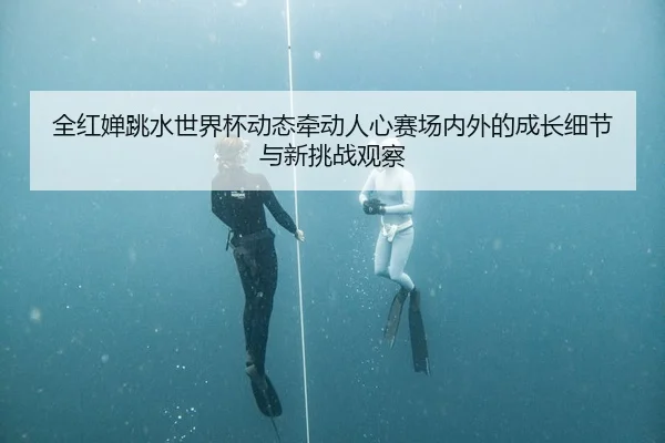 全红婵跳水世界杯动态牵动人心赛场内外的成长细节与新挑战观察